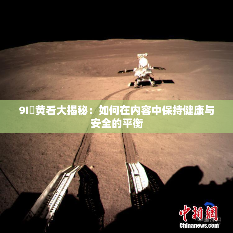 9I婬黄看大揭秘：如何在内容中保持健康与安全的平衡