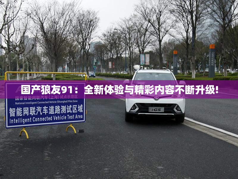 国产狼友91：全新体验与精彩内容不断升级!