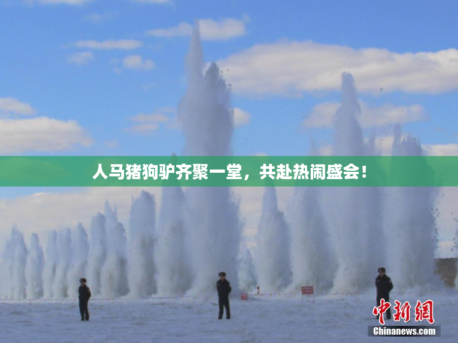 人马猪狗驴齐聚一堂，共赴热闹盛会！