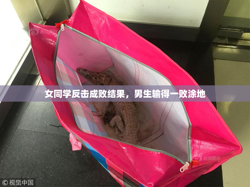 女同学反击成败结果，男生输得一败涂地