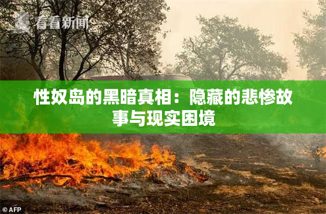 性奴岛的黑暗真相：隐藏的悲惨故事与现实困境