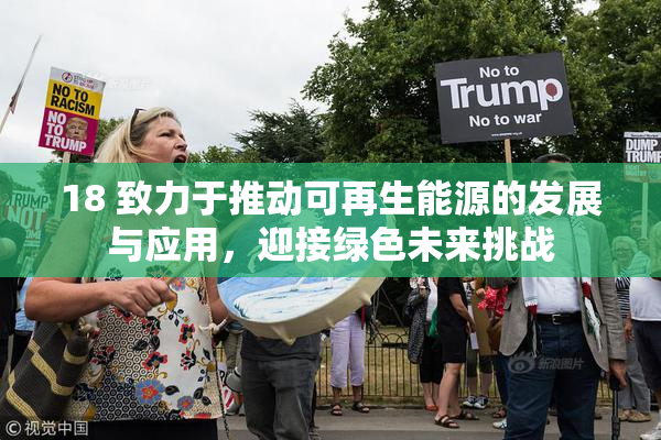 18 致力于推动可再生能源的发展与应用，迎接绿色未来挑战