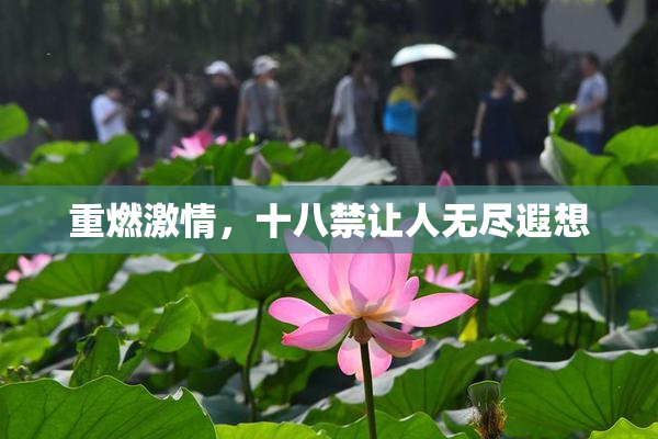 重燃激情，十八禁让人无尽遐想