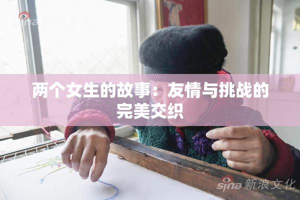 两个女生的故事：友情与挑战的完美交织