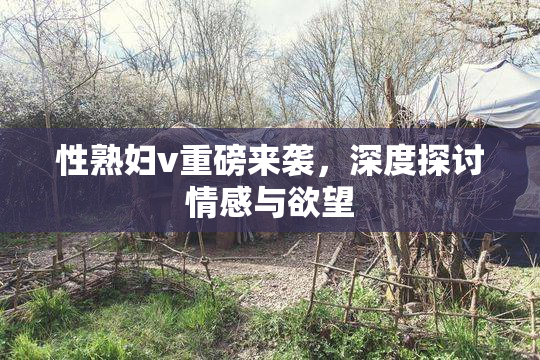 性熟妇v重磅来袭，深度探讨情感与欲望