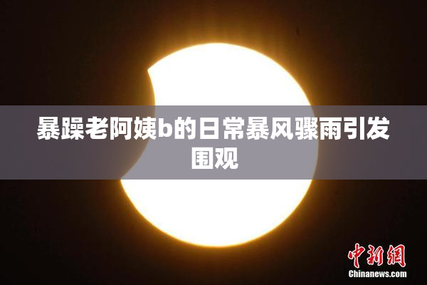 暴躁老阿姨b的日常暴风骤雨引发围观