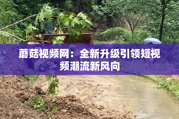 蘑菇视频网：全新升级引领短视频潮流新风向
