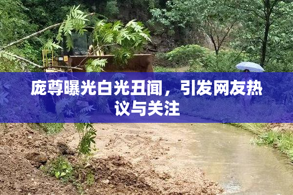 庞尊曝光白光丑闻，引发网友热议与关注
