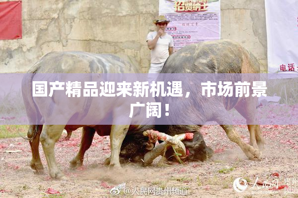 国产精品迎来新机遇，市场前景广阔！