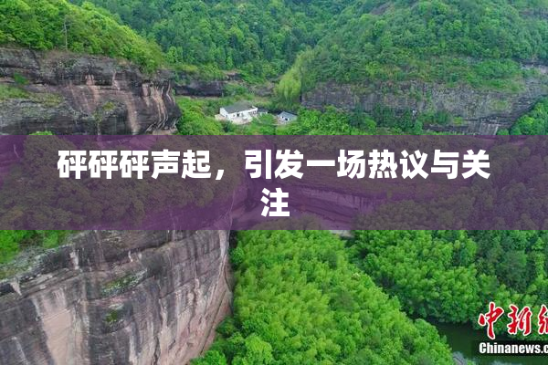 砰砰砰声起，引发一场热议与关注