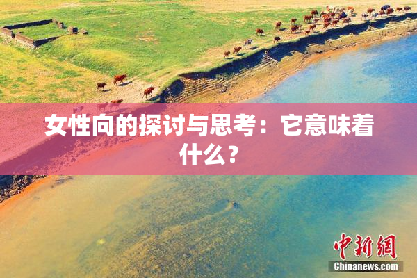 女性向的探讨与思考：它意味着什么？