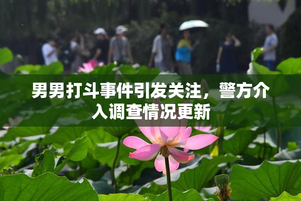 男男打斗事件引发关注，警方介入调查情况更新