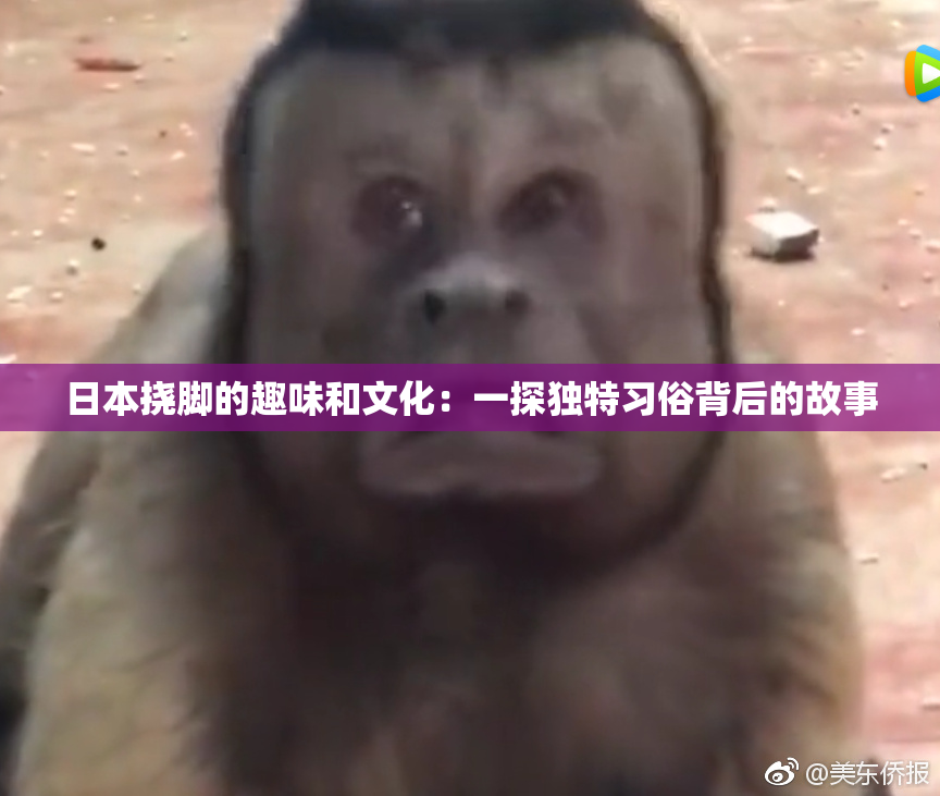 日本挠脚的趣味和文化：一探独特习俗背后的故事