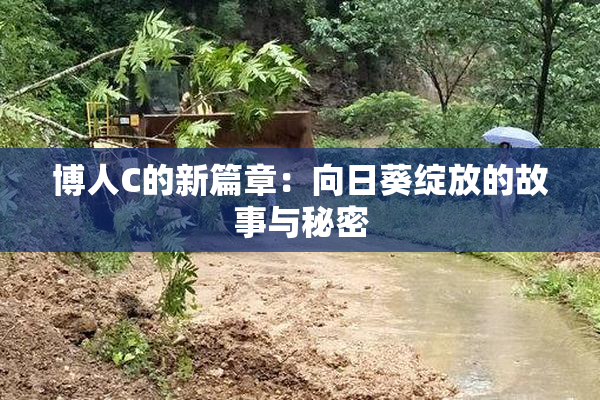 博人C的新篇章：向日葵绽放的故事与秘密