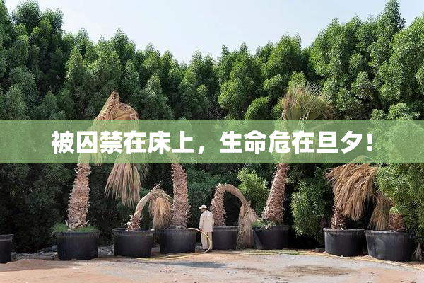 被囚禁在床上，生命危在旦夕！