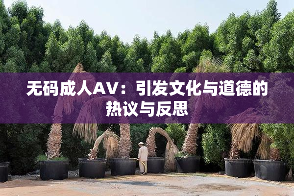 无码成人AV：引发文化与道德的热议与反思