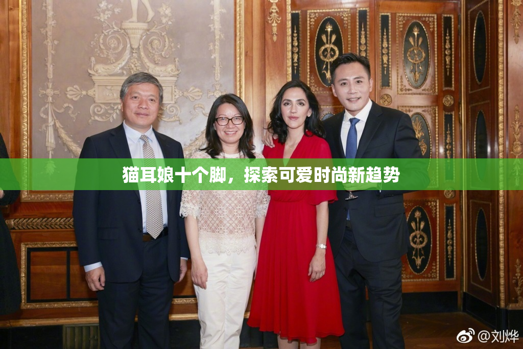 猫耳娘十个脚，探索可爱时尚新趋势