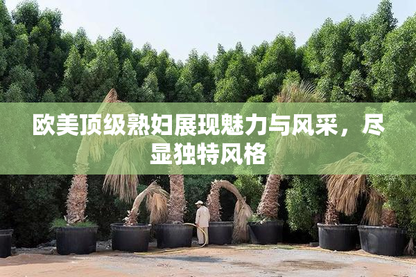 欧美顶级熟妇展现魅力与风采，尽显独特风格