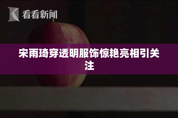 宋雨琦穿透明服饰惊艳亮相引关注