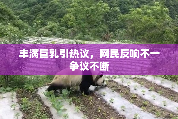 丰满巨乳引热议，网民反响不一争议不断