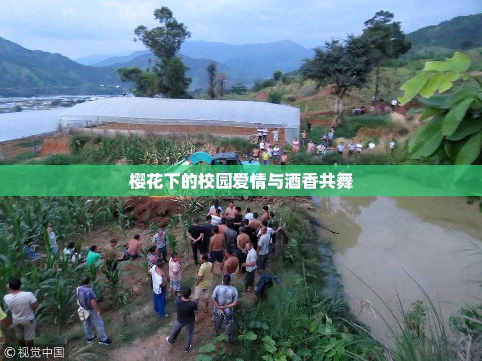 樱花下的校园爱情与酒香共舞