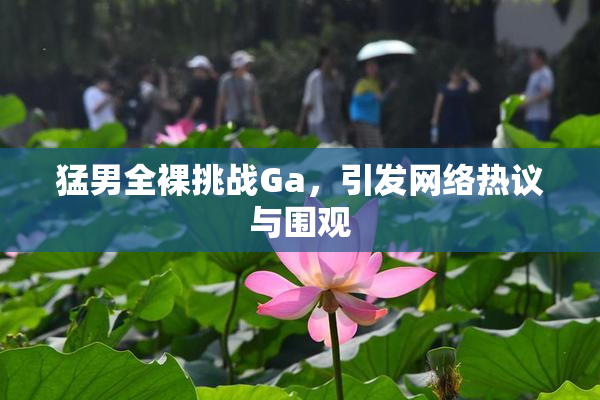 猛男全裸挑战Ga，引发网络热议与围观