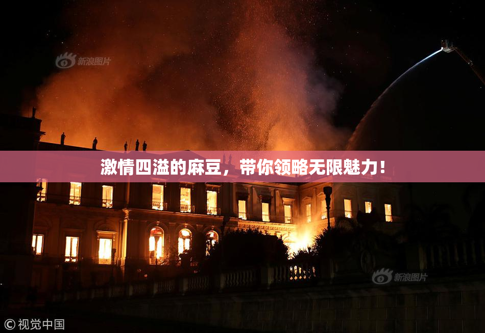 激情四溢的麻豆，带你领略无限魅力！