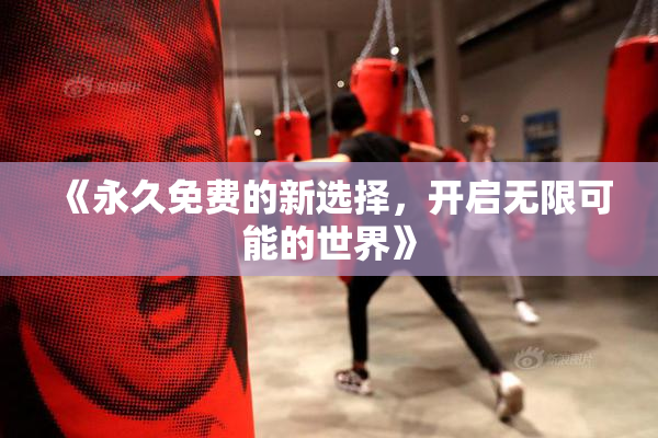 《永久免费的新选择，开启无限可能的世界》