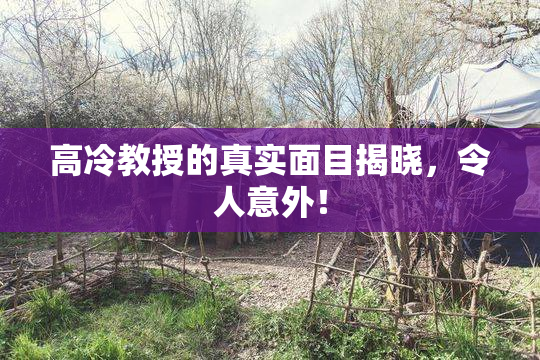 高冷教授的真实面目揭晓，令人意外！
