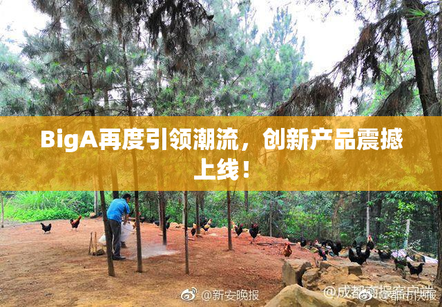 BigA再度引领潮流，创新产品震撼上线！