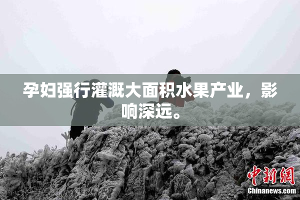 孕妇强行灌溉大面积水果产业，影响深远。