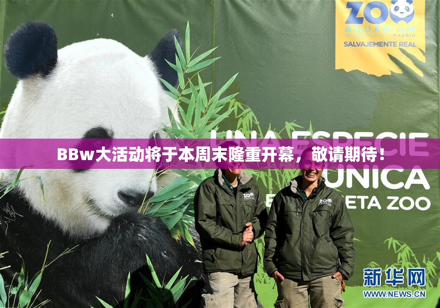 BBw大活动将于本周末隆重开幕，敬请期待！