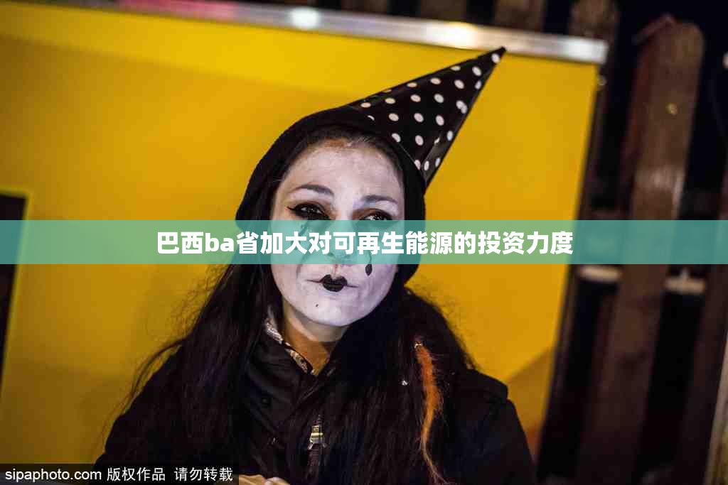 巴西ba省加大对可再生能源的投资力度