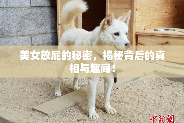 美女放屁的秘密，揭秘背后的真相与趣闻！