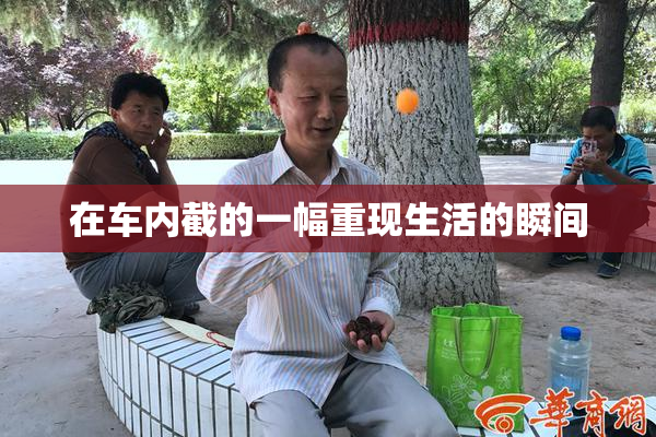 在车内截的一幅重现生活的瞬间