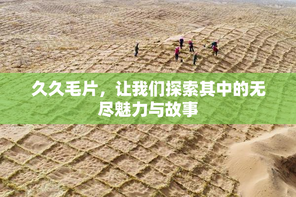 久久毛片，让我们探索其中的无尽魅力与故事