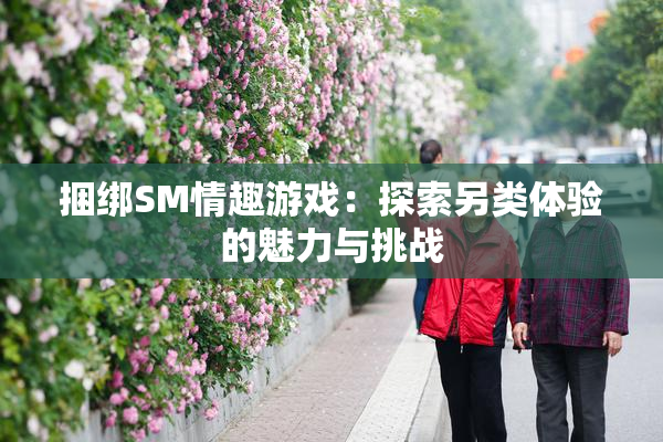 捆绑SM情趣游戏：探索另类体验的魅力与挑战