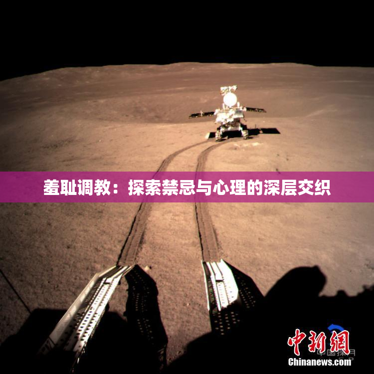羞耻调教：探索禁忌与心理的深层交织