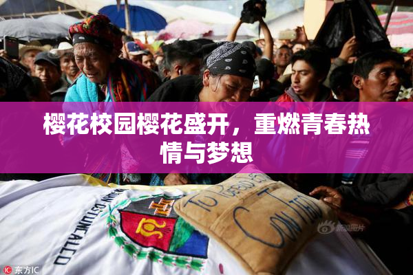 樱花校园樱花盛开，重燃青春热情与梦想