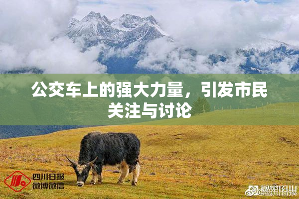 公交车上的强大力量，引发市民关注与讨论