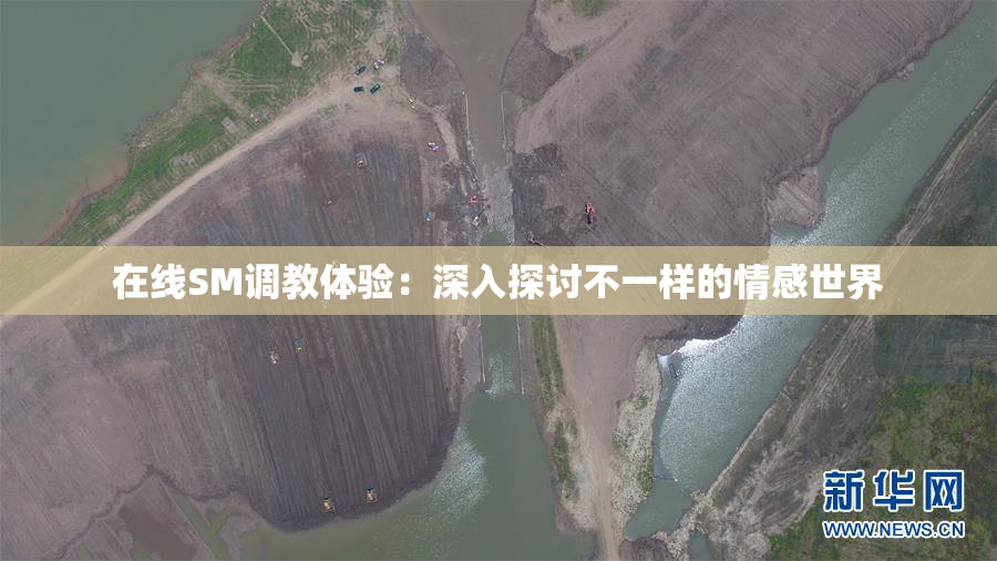在线SM调教体验：深入探讨不一样的情感世界