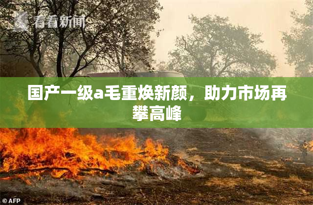 国产一级a毛重焕新颜，助力市场再攀高峰