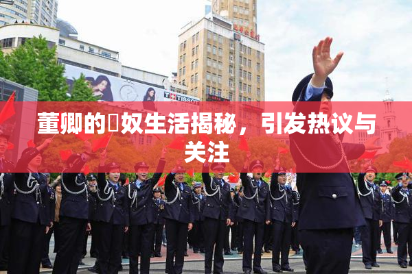 董卿的婬奴生活揭秘，引发热议与关注