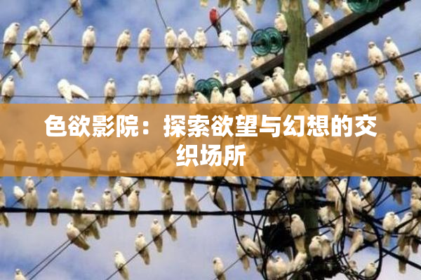 色欲影院：探索欲望与幻想的交织场所