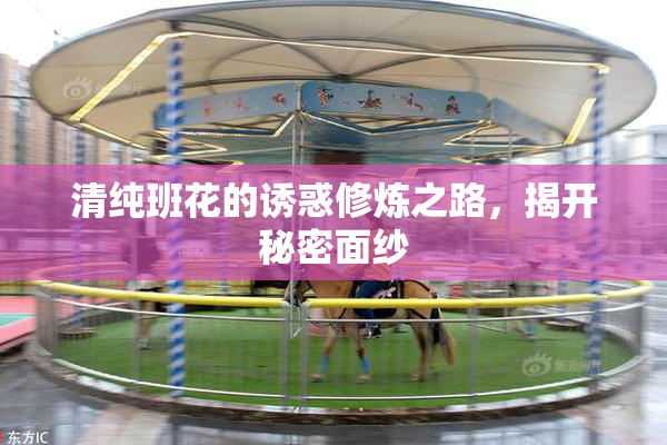 清纯班花的诱惑修炼之路，揭开秘密面纱
