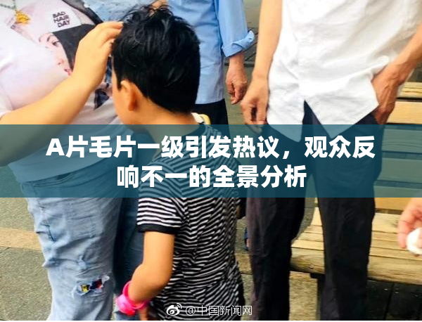A片毛片一级引发热议，观众反响不一的全景分析
