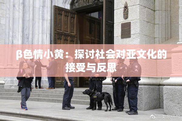 β色情小黄：探讨社会对亚文化的接受与反思