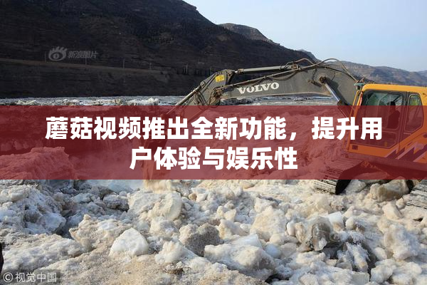 蘑菇视频推出全新功能，提升用户体验与娱乐性