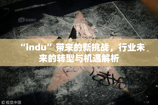 “indu”带来的新挑战，行业未来的转型与机遇解析