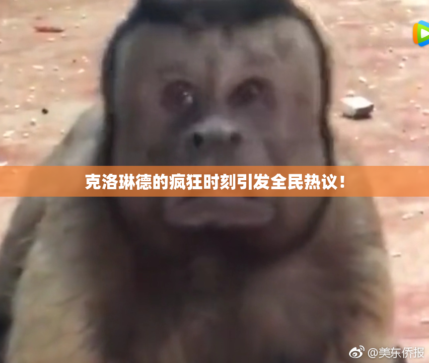 克洛琳德的疯狂时刻引发全民热议！